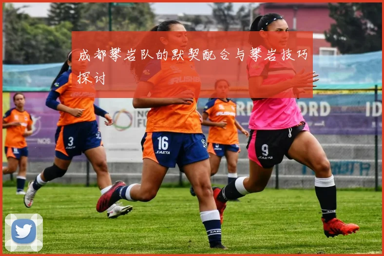 成都攀岩队的默契配合与攀岩技巧探讨